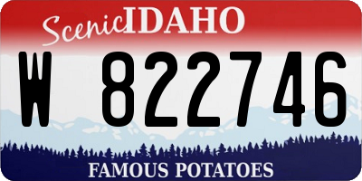 ID license plate W822746