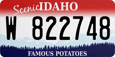 ID license plate W822748