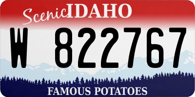 ID license plate W822767