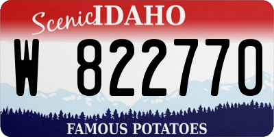 ID license plate W822770