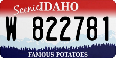 ID license plate W822781