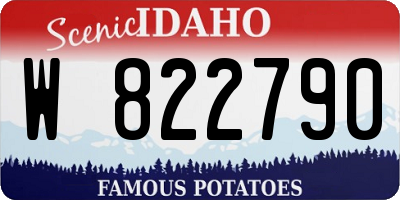 ID license plate W822790