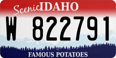 ID license plate W822791