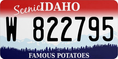 ID license plate W822795