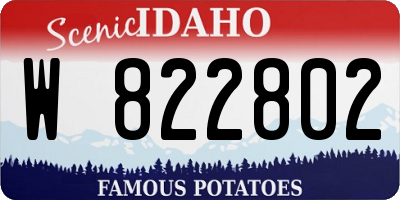 ID license plate W822802