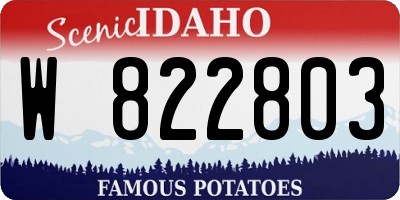 ID license plate W822803