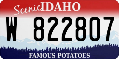 ID license plate W822807