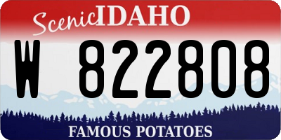 ID license plate W822808