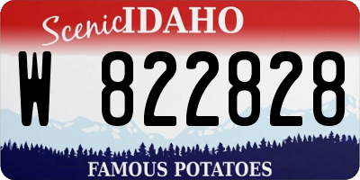 ID license plate W822828