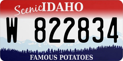 ID license plate W822834