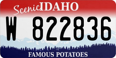 ID license plate W822836