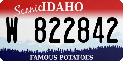ID license plate W822842