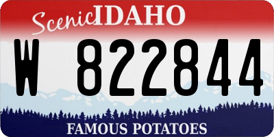ID license plate W822844