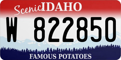 ID license plate W822850