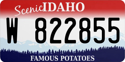 ID license plate W822855