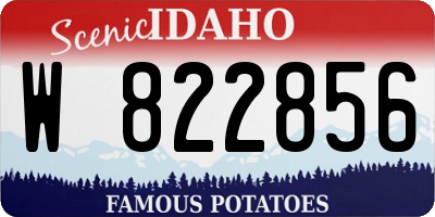 ID license plate W822856