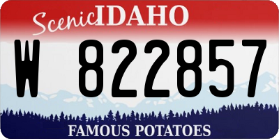 ID license plate W822857