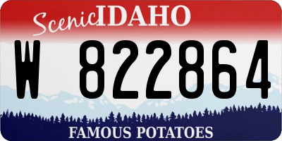ID license plate W822864