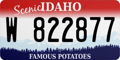 ID license plate W822877