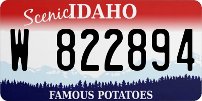 ID license plate W822894