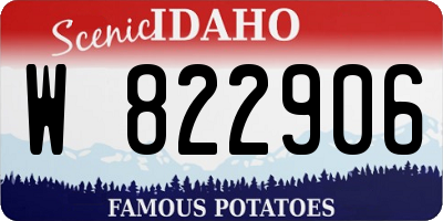 ID license plate W822906