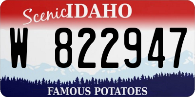 ID license plate W822947