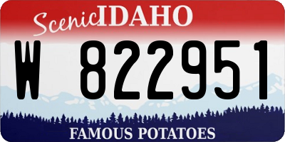 ID license plate W822951
