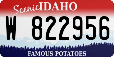 ID license plate W822956