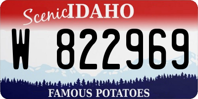 ID license plate W822969