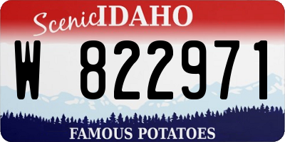 ID license plate W822971