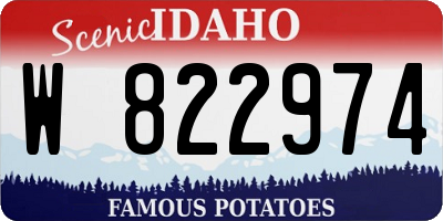 ID license plate W822974