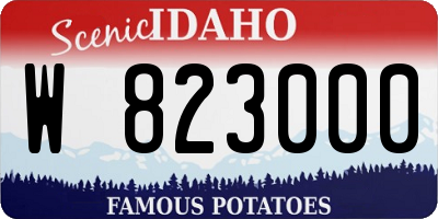 ID license plate W823000