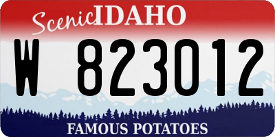 ID license plate W823012
