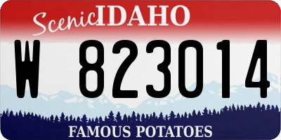 ID license plate W823014