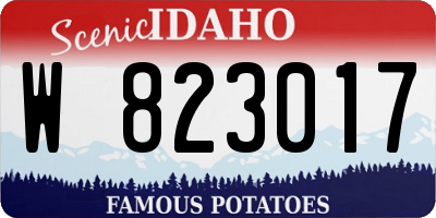 ID license plate W823017