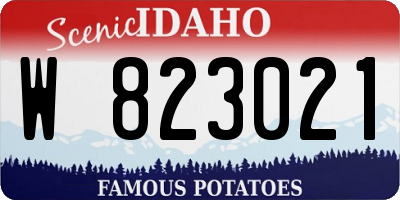 ID license plate W823021