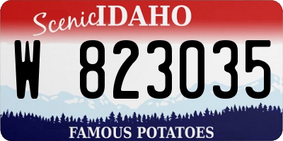 ID license plate W823035