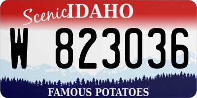 ID license plate W823036