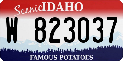 ID license plate W823037