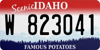 ID license plate W823041