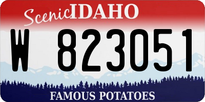 ID license plate W823051