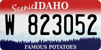 ID license plate W823052
