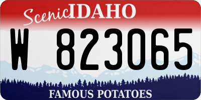 ID license plate W823065