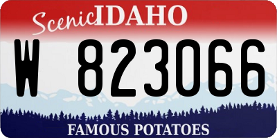 ID license plate W823066