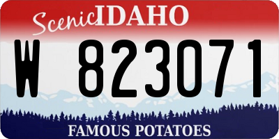 ID license plate W823071