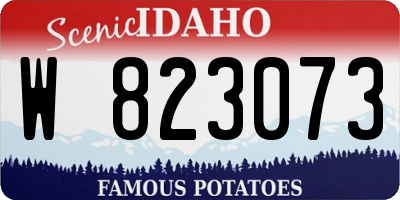 ID license plate W823073