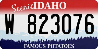 ID license plate W823076