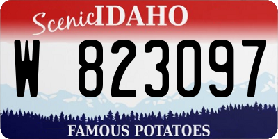 ID license plate W823097