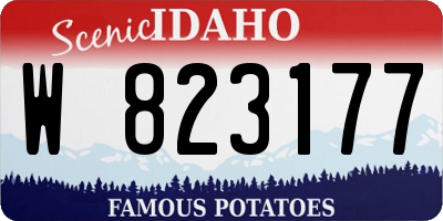 ID license plate W823177