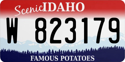 ID license plate W823179